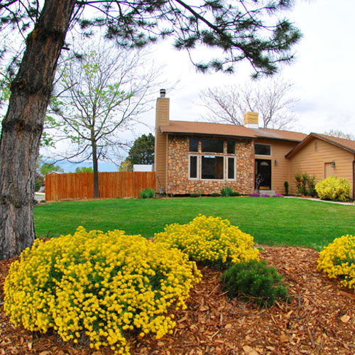 Front Yard Remodel